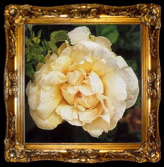 framed  unknow artist Still life floral, all kinds of reality flowers oil painting  115, ta009-2